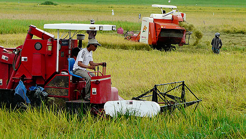 Bac Ninh acelera la mecanización de la producción agrícola