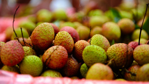 Autoriza Estados Unidos importación de lichis y ojos de dragón de Vietnam