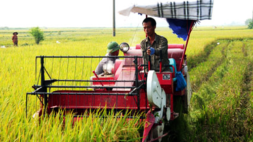 Mecanización, una opción de productividad en agricultura