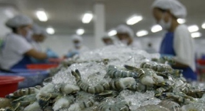 Protestan impuestos antidumping de Estados Unidos a camarones vietnamitas