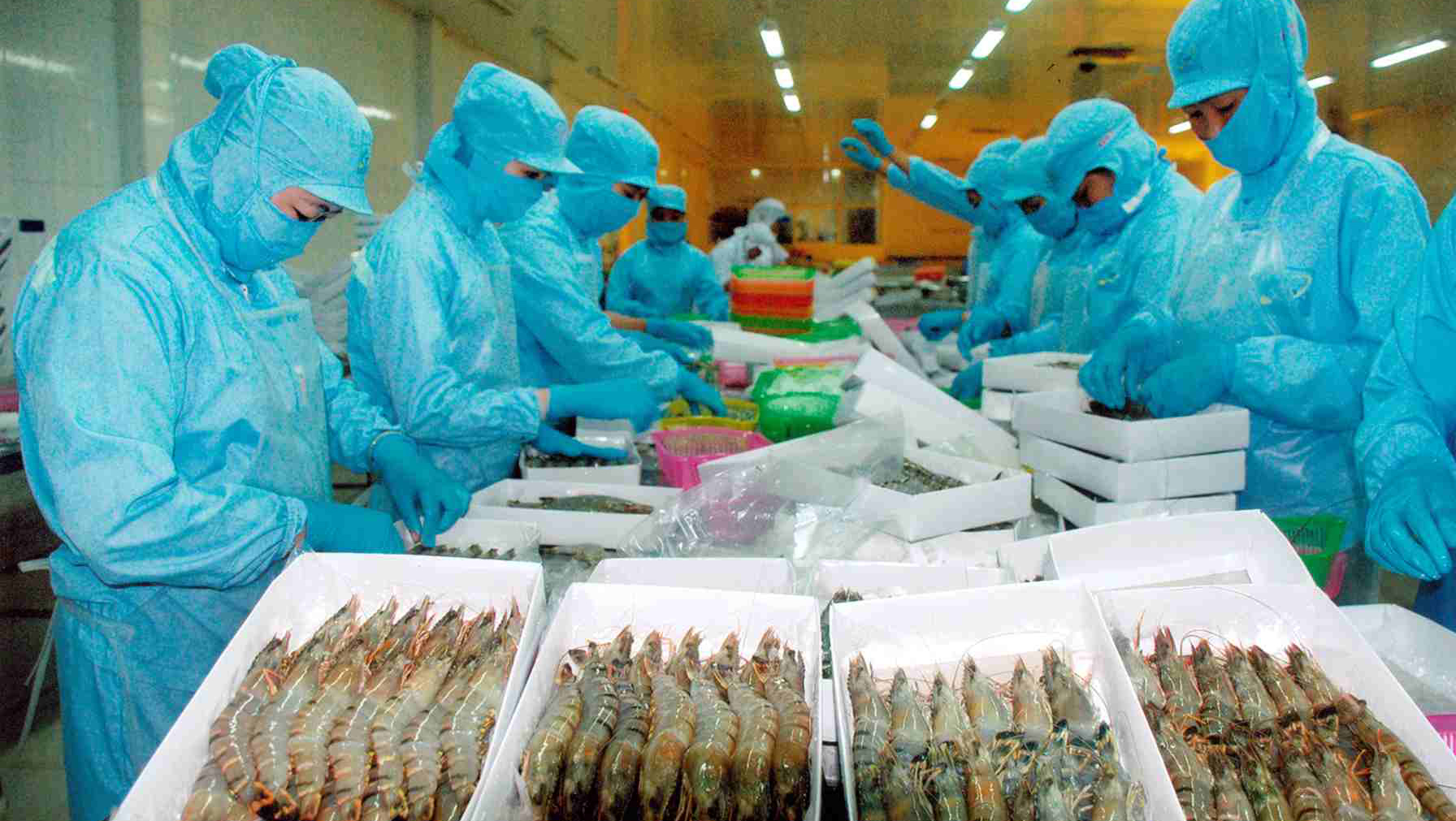 Una decisión opuesta al espíritu de liberalización comercial