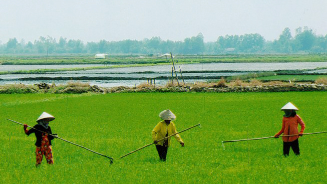 Phuoc Long: un futuro prometedor