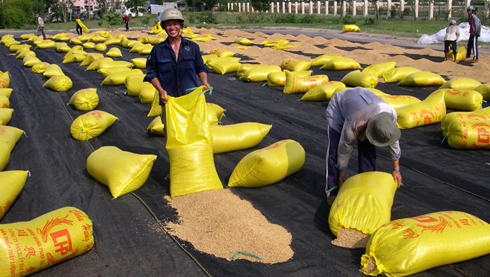 Vietnam aboga por aumentar el valor del arroz de exportación