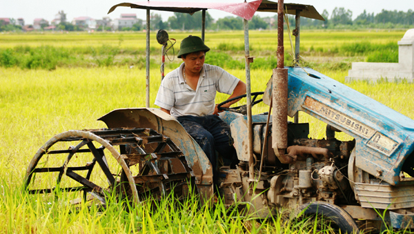 Maximiza Vietnam potencialidades para desarrollo socioeconómico