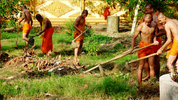 Desarrollo económico de compatriotas jemeres gracias al cambio de cultivos