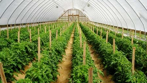 Vietnam refuerza acciones conjuntas en Delta del Mekong