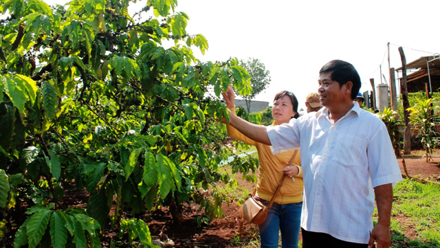 Proyecto EDE y la construcción de nuevo campo en Dac Lac