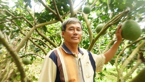 Veteranos de la provincia Ben Tre lideran construcción de nuevo campo