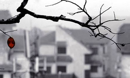 Canciones invernales preferidas