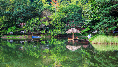 Van Long, área ecoturística con bellezas vírgenes