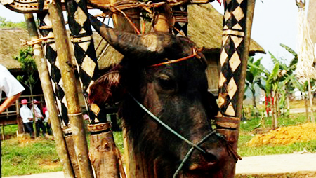 Insólito rito de los Bana