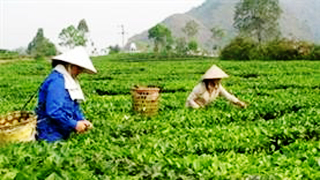La construcción de nuevo campo en la comuna San Thang, provincia Lai Chau