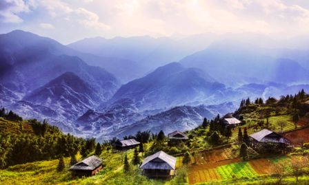 Sapa fantástica en la neblina