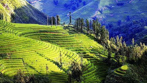 Muong Hoa, poético paraje en Sapa, Lao Cai