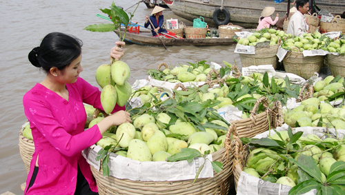 Construyen marcas de frutas exportables en Delta de Río Mekong