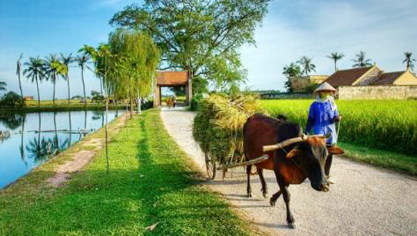 Hanoi lidera la construcción de nuevo campo