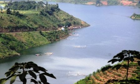 Temporada de pesca de camarones en el río Da