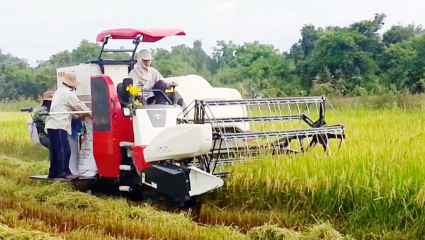 Mejora Vietnam productividad laboral para integración económica internacional