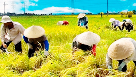 Empresas se comprometen con la modernización rural