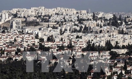 Palestinos anuncian fecha para demandar a Israel en la Corte Penal Internacional