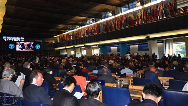 FAO comprometida contra miseria y carencia alimentaria