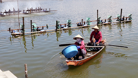 Promueve Vietnam transformación económica frente a cambio climático