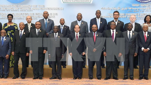 Forman zona de libre comercio en África