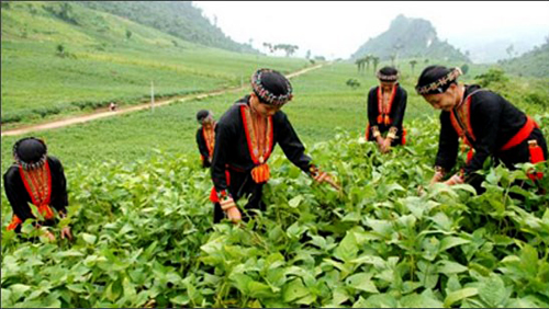 Intensifican esfuerzos por reducir pobreza