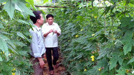 Celebra Vietnam Día Internacional de las Cooperativas 2015
