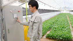 Avanzan hacia una agricultura inteligente en Vietnam