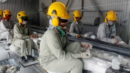 Aprecia Banco Mundial perspectivas económicas de Vietnam