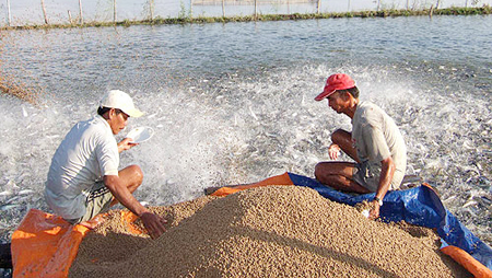 Cooperativas de nuevo estilo creará fuerza motriz para la agricultura nacional