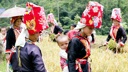 Fiesta de “Privación del viento” de los nativos de Binh Lieu