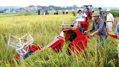 Incentiva Vietnam participación empresarial en renovación rural