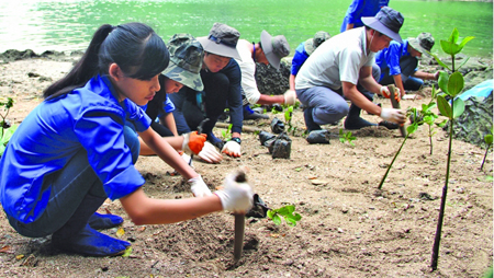 Unión Europea y Vietnam intercambian experiencias en respuesta al cambio climático