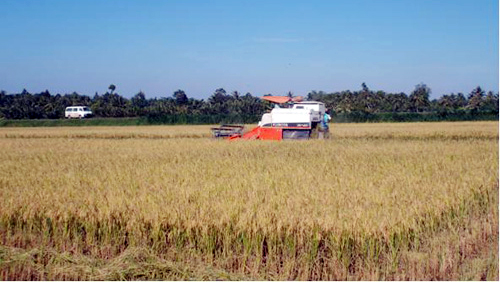 Compatriotas jemeres en Tra Vinh ceden tierra para el desarrollo rural