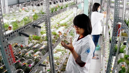 Ciudades vietnamitas y estadounidenses cooperan en formación de recursos humanos