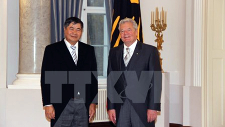 Embajador vietnamita presenta cartas credenciales ante presidente de Alemania