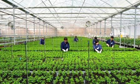 Tecnología agrícola punta del desarrollo sostenible en la Altiplanicie