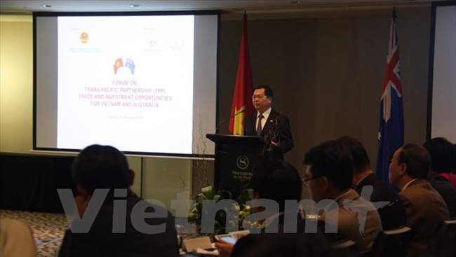 Nuevas oportunidades de cooperación comercial Vietnam-Australia