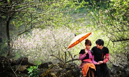 Canciones de la primavera y el amor