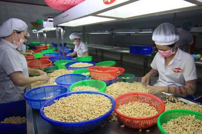 OMC califica de “impresionante” crecimiento de exportación de Vietnam
