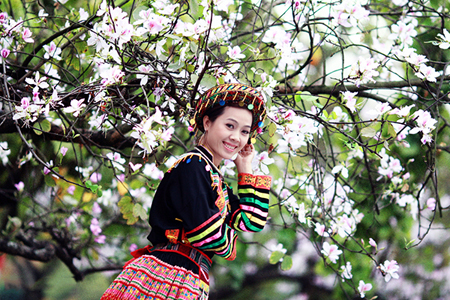 Manjares preparados con flores de Bauhinia en tierra septentrional de Vietnam