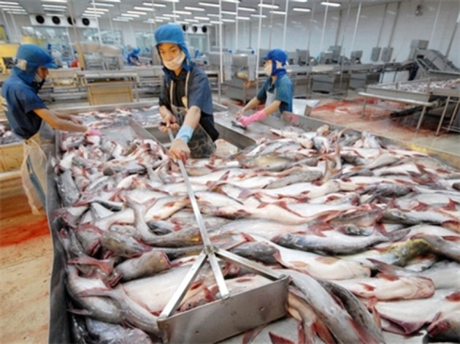 Más empresas vietnamitas autorizadas para venta de pangasius al mercado estadounidense