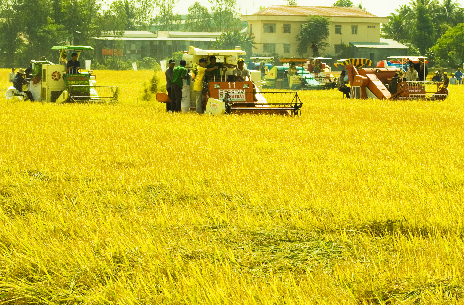 Casi dos mil comunas vietnamitas cumplen estándares de nuevo campo