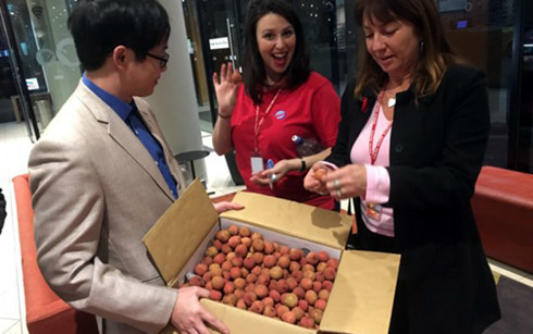 Exporta Vietnam gran cantidad de lichis a Australia