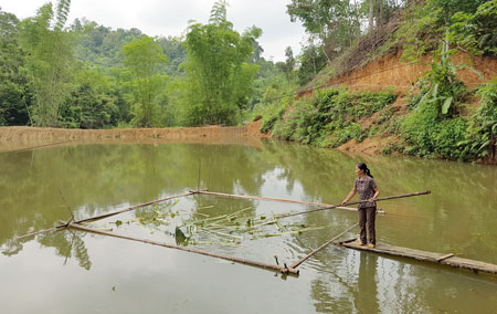 Bac Kan camino a construir nueva ruralidad