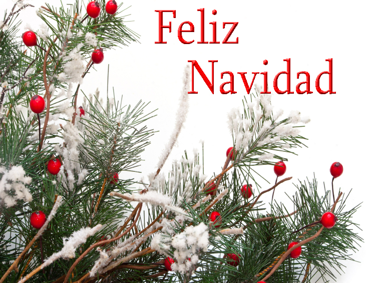 Canciones vietnamitas de Navidad