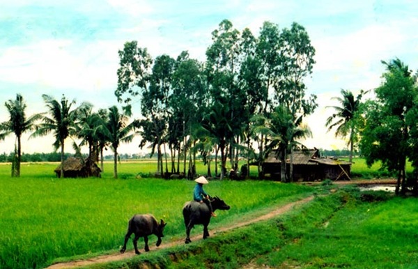 Estructura y organización del espacio vital de la aldea tradicional vietnamita