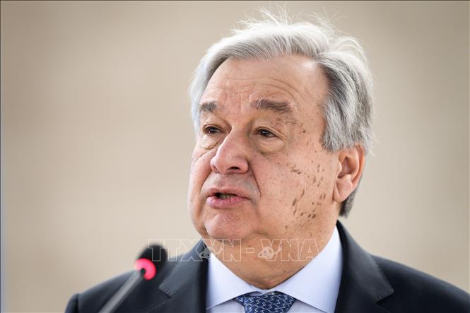 Secretario general de la ONU plantea organizar una cumbre sobre la Amazonia